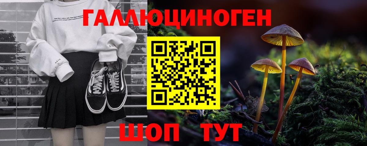 где купить   Вход с VPN  Кострома  Галлюциногенные грибы прущие грибы 