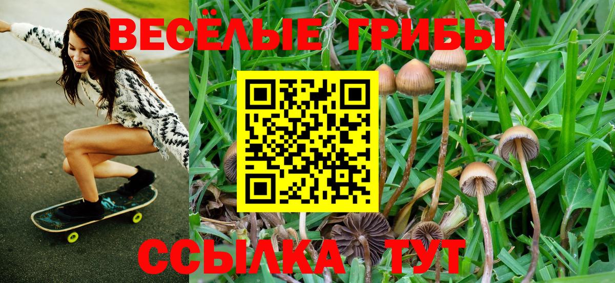 Каннабис  ГАШ  Codein  COCAIN  Метамфетамин  NBOMe  Мефедрон   Кострома  Вход с VPN  Купить наркоту 